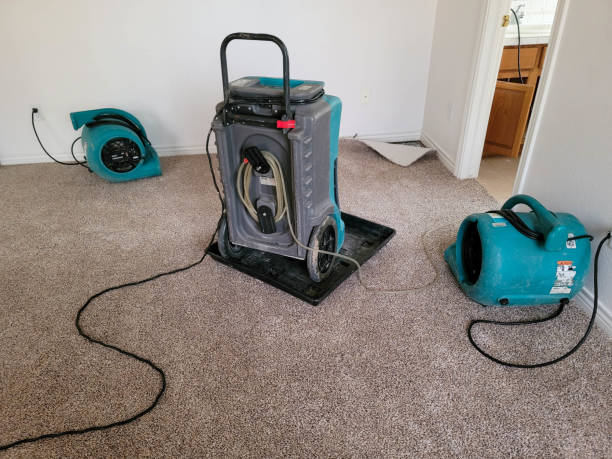 Best Flood restoration services  in Spokane, WA