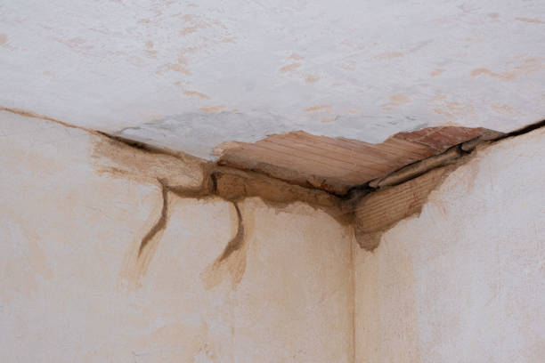 Best Water damage restoration near me  in Spokane, WA